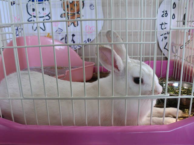 ６月６日・・今日の業務日誌！