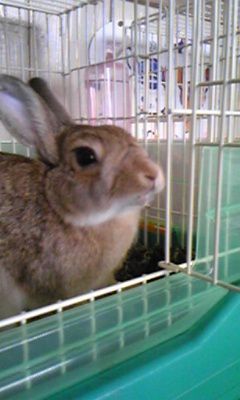 おはよ～。