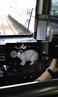 写真集