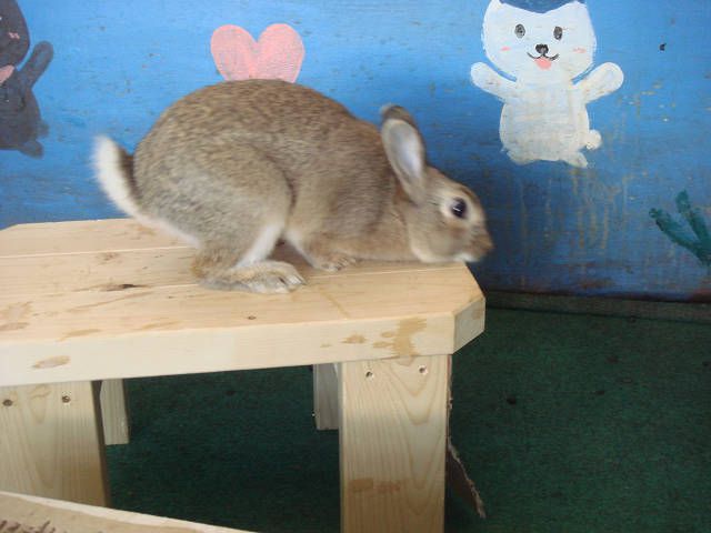かゆいなぁ！！