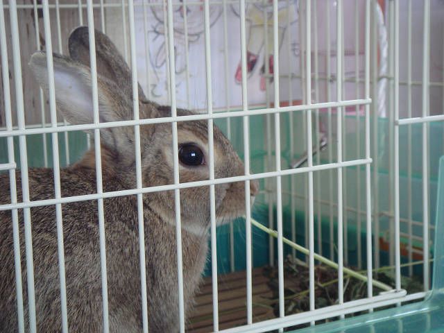 おいしいなぁ～