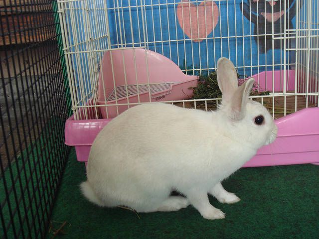 すみません↓
