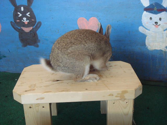 今日は過ごしやすかったなぁ
