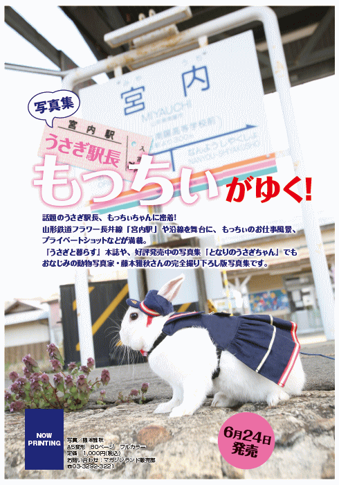 もっちぃがゆく！