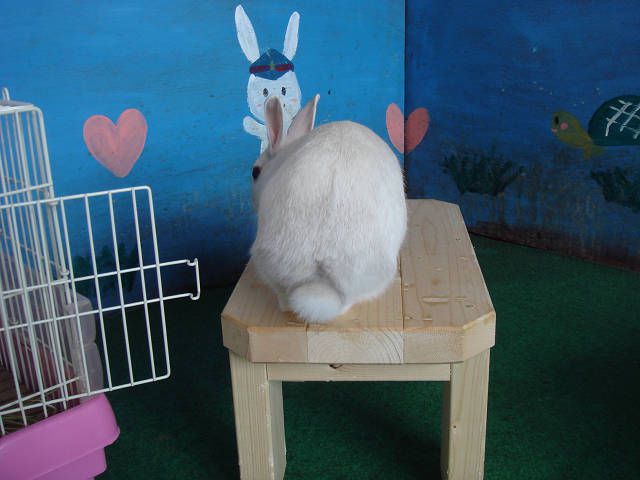 こんにちは（＾０＾）