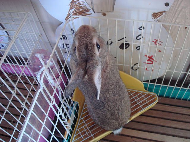 おやぁ（*-*）