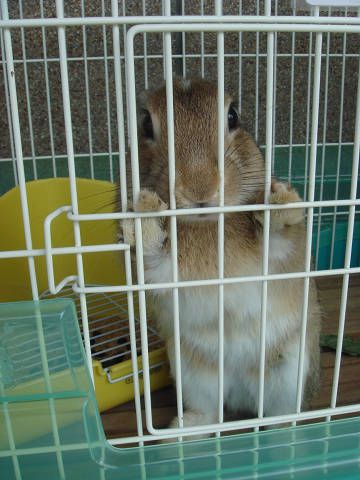 おはようございます。