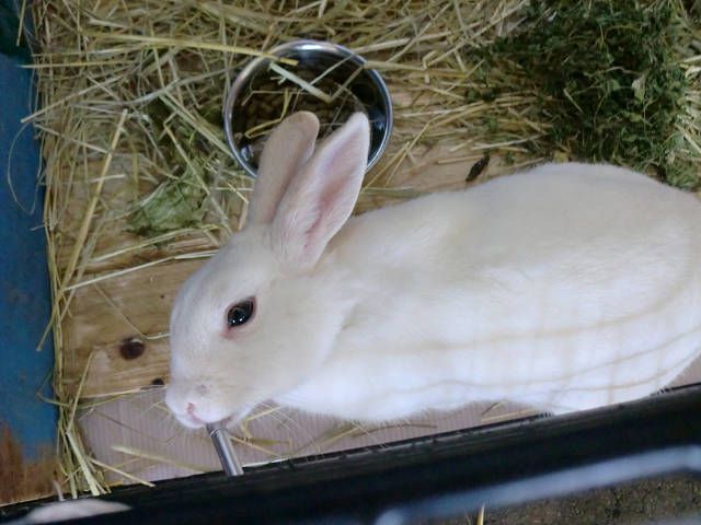 のどかわいたな！