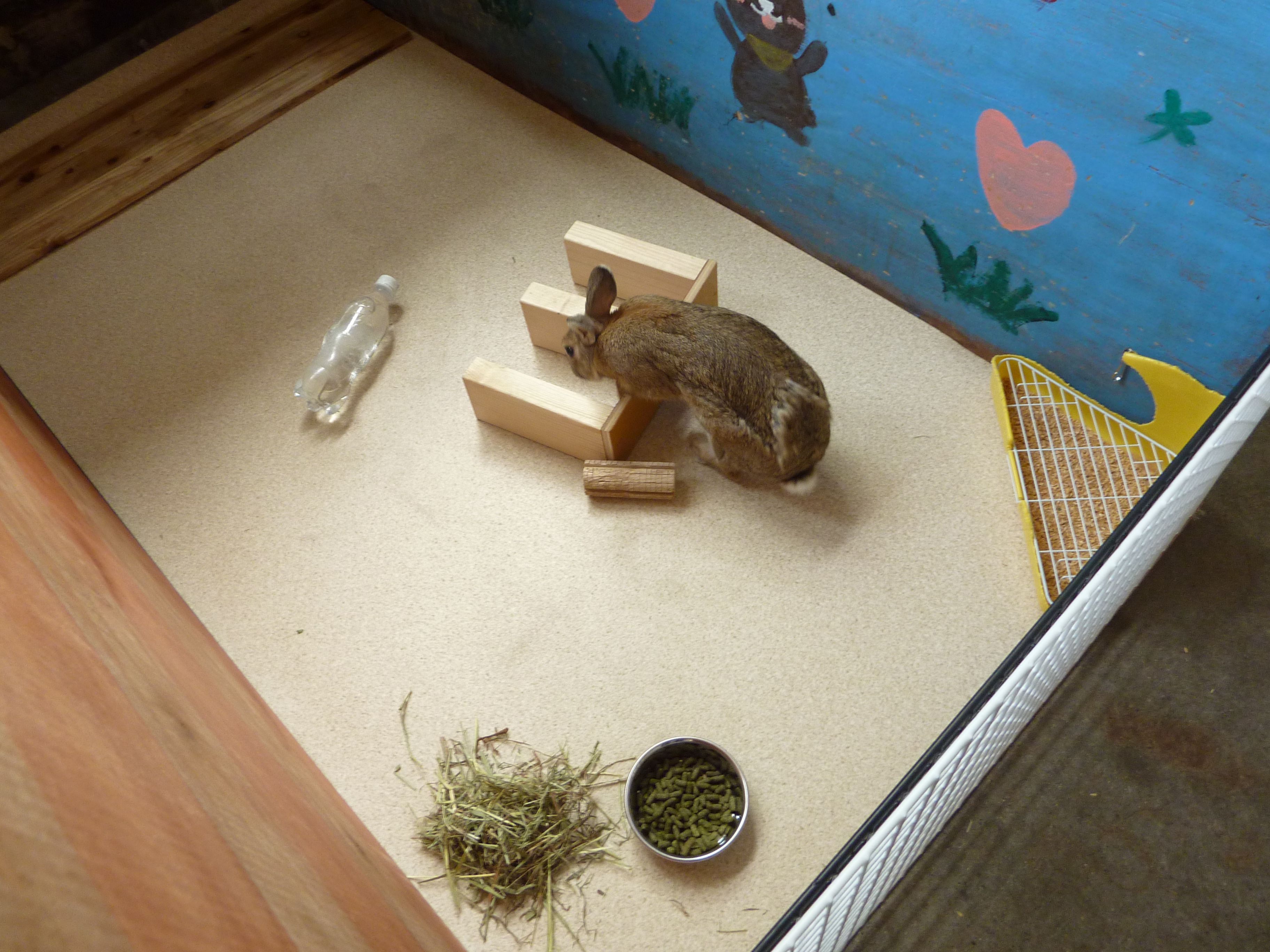 涼しいなぁ～