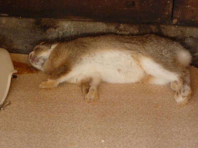 リラックス。