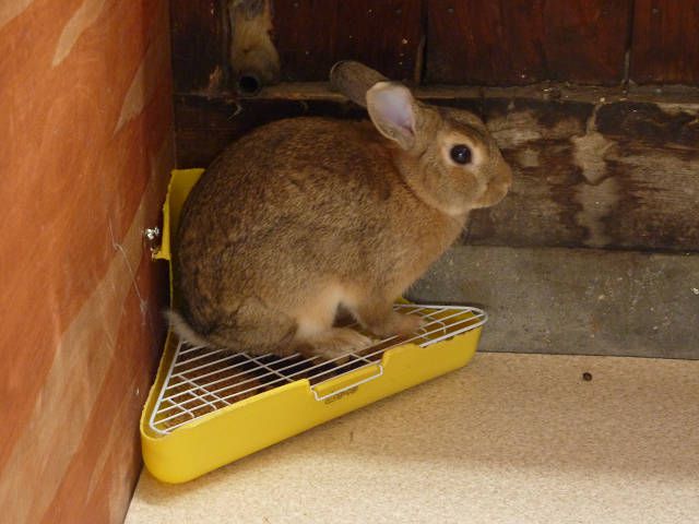 こんにちは。