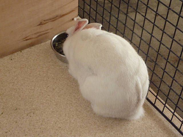 秋晴れですね！