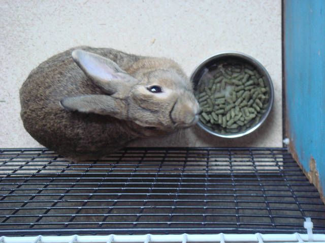 おはようございます。