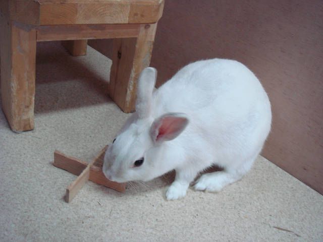 こんにちは
