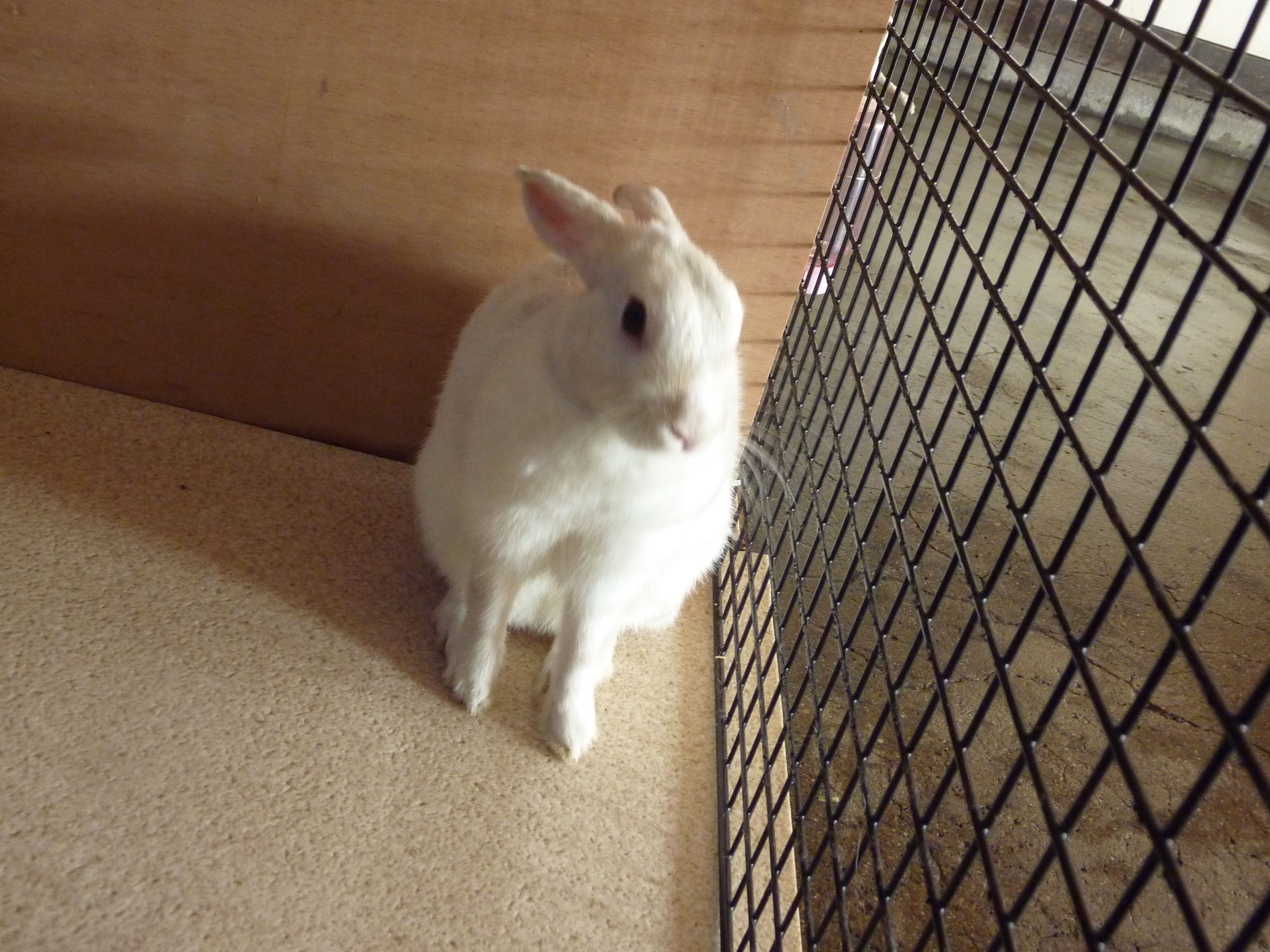 頑張っております！