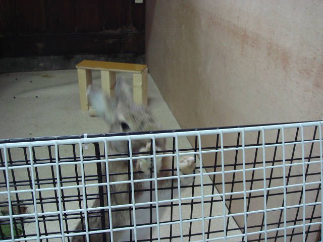よいしょ（＞ω＜）