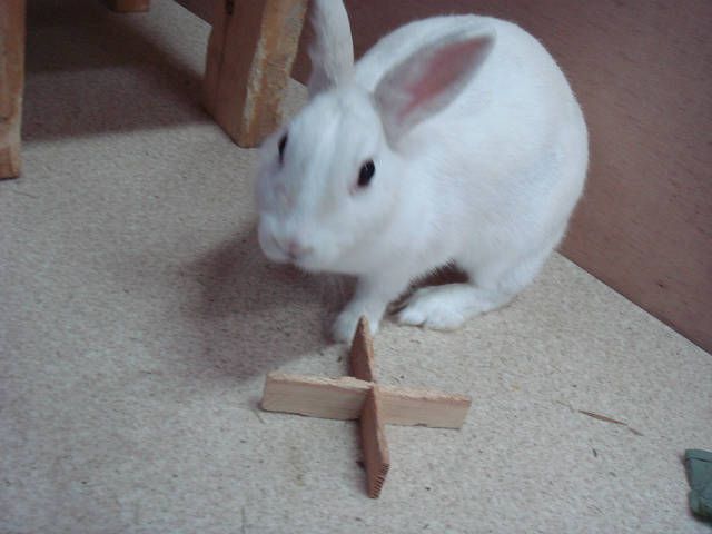 今日は撮影日。