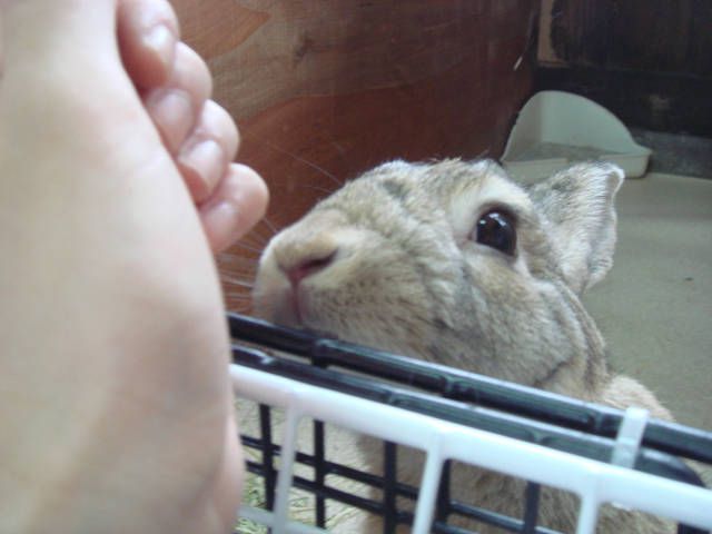ねぇ、お願い！！