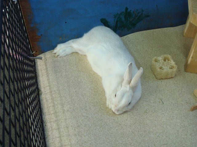 気持ちがいいな～
