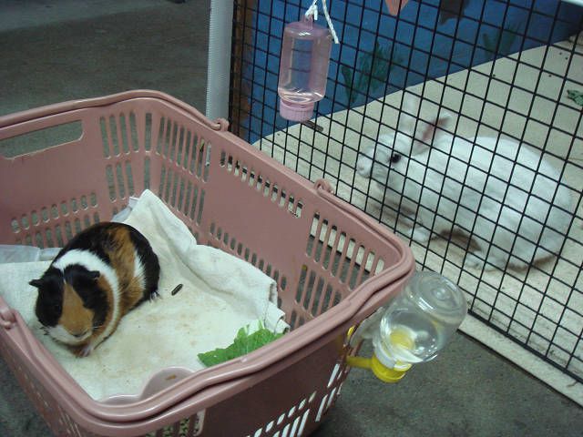 ♪友だち100人できるかな♪