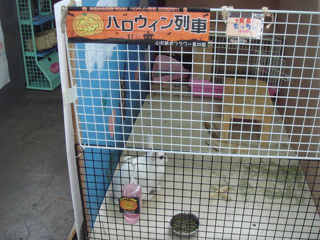 ハロウィン列車。