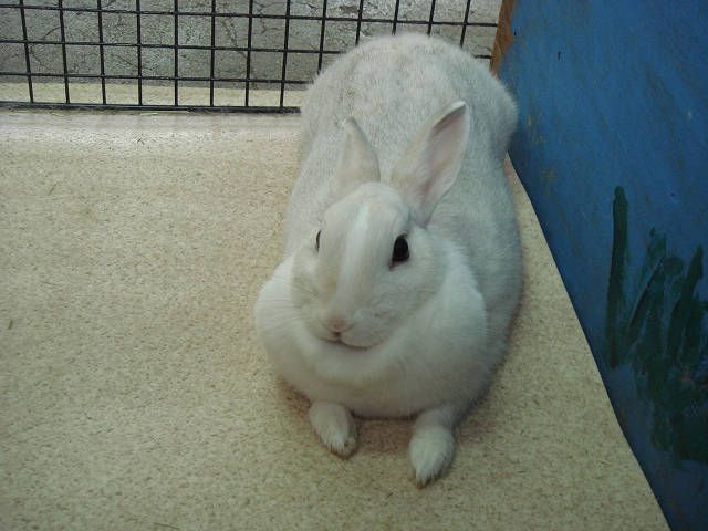 おはようございます。