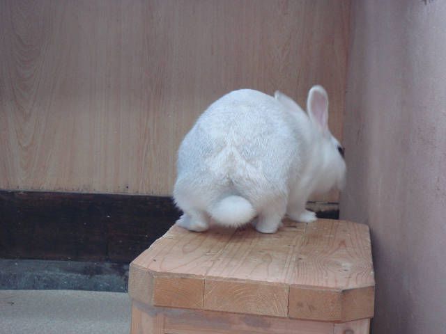 ちょっと覗いて・・・