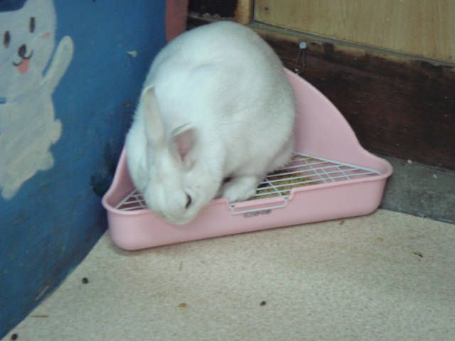 昨日は、お休みして