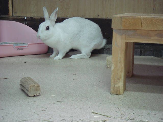 あーー忙し、忙し!!!