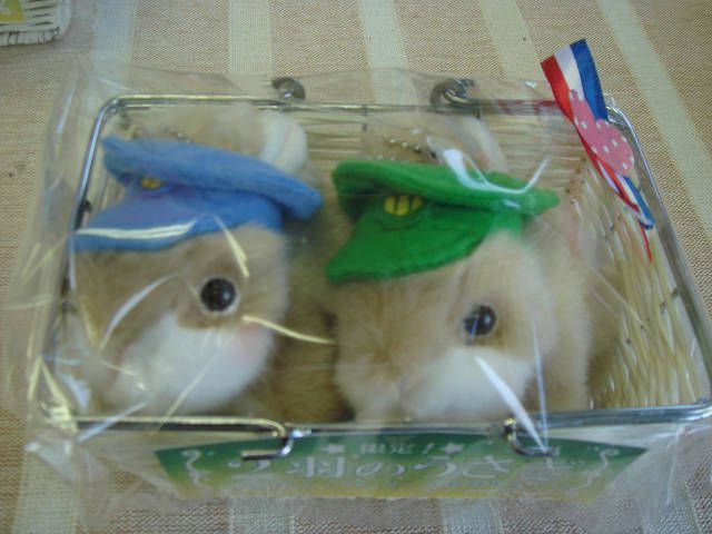 2羽セットはこれ！
