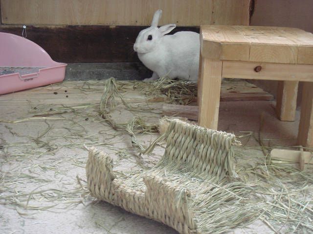 見て見て～（＾ｖ＾）