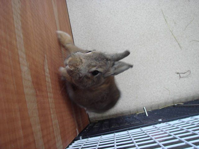 お隣が。。。