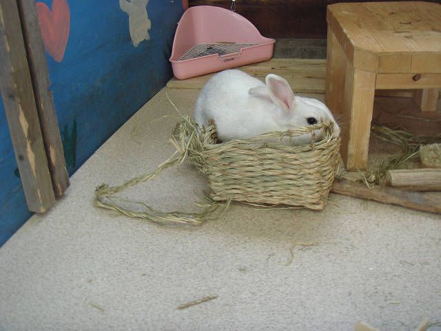 もらったよ！