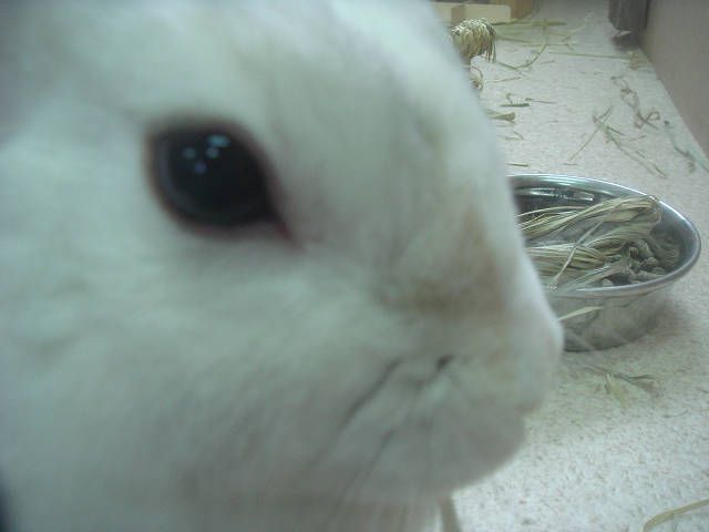 こんにちは（＾＾）