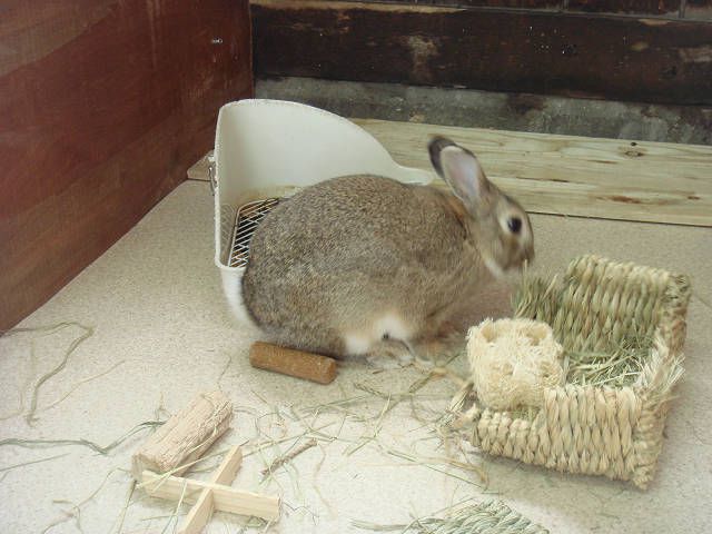 ♪は～れたそら～♪