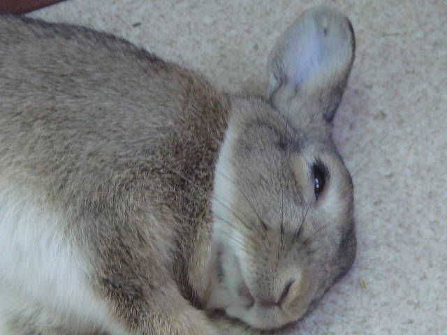 ぼくの特技です。