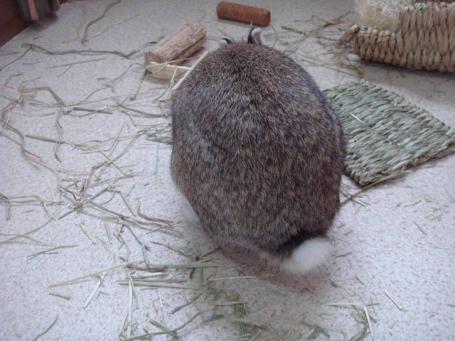 ぼく、誰だかわかる(・・?