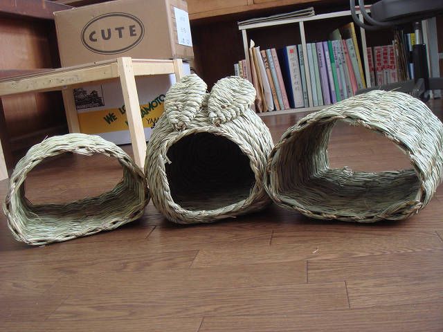おしょうしな!(^^)!