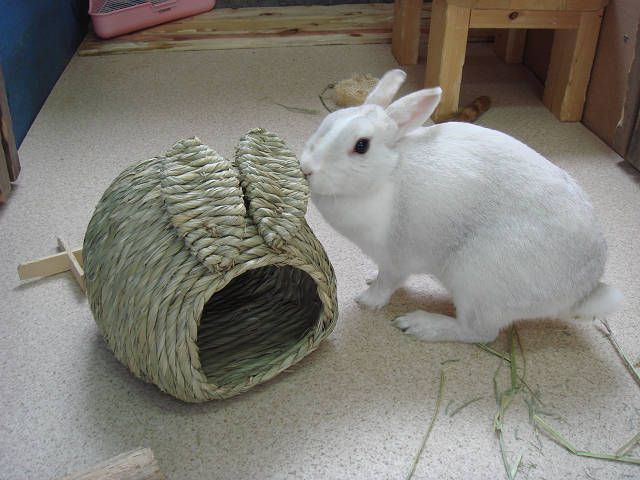チュッ(＞ε＜）