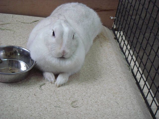 ゆぎふったよ～(+_+)