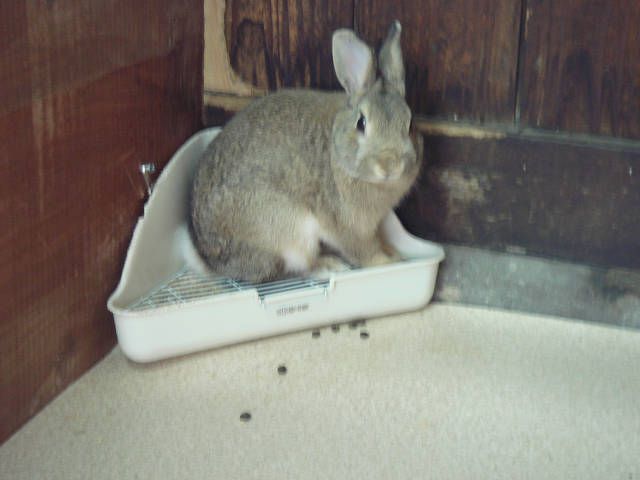こんにちは（＾＾）