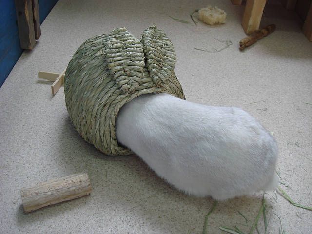 ムムムムムムム。。。。！