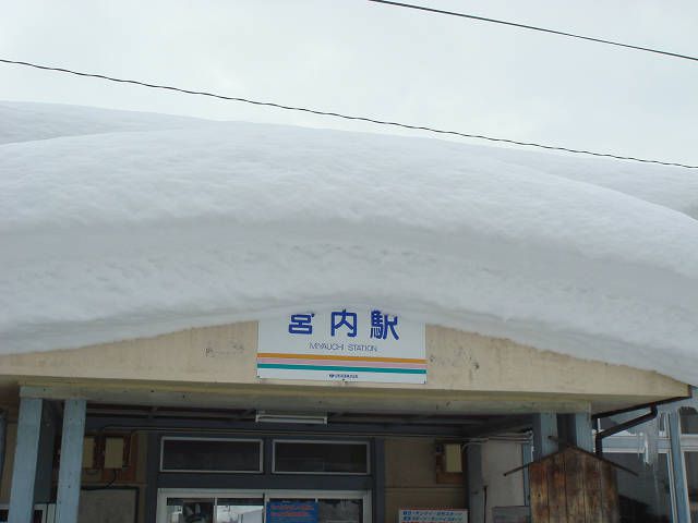 屋根の雪！！！！