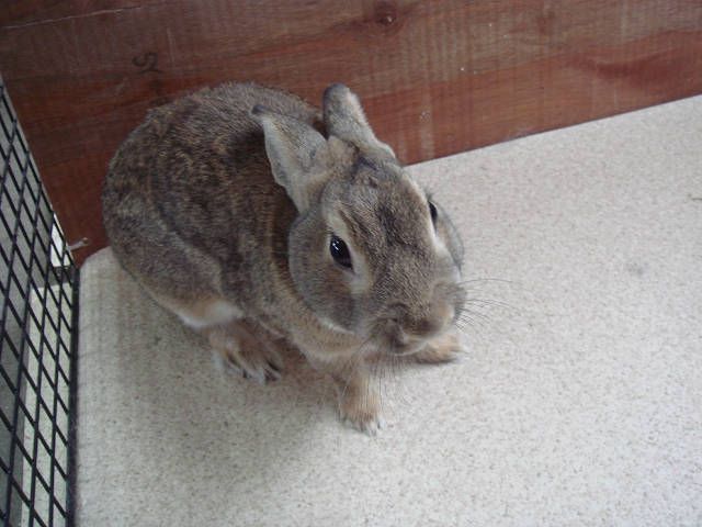 きれいになりました!(^^)!