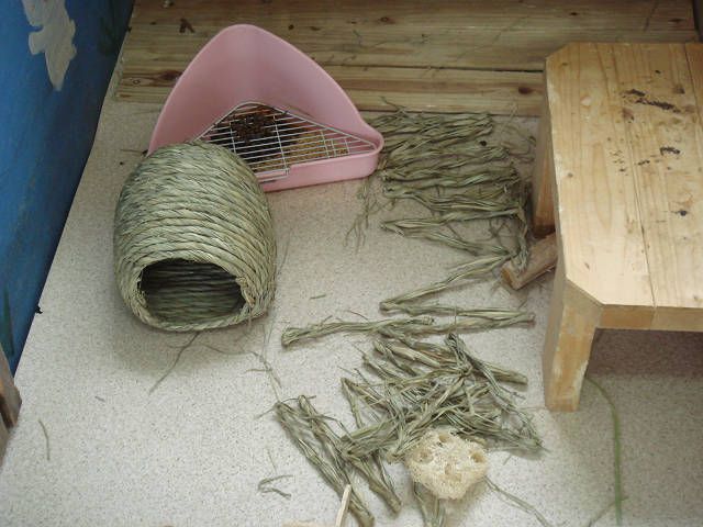 ニョロにょろにょろ
