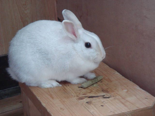 春が待ちどうしいな。