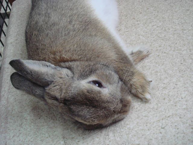 のんびりリラックス！