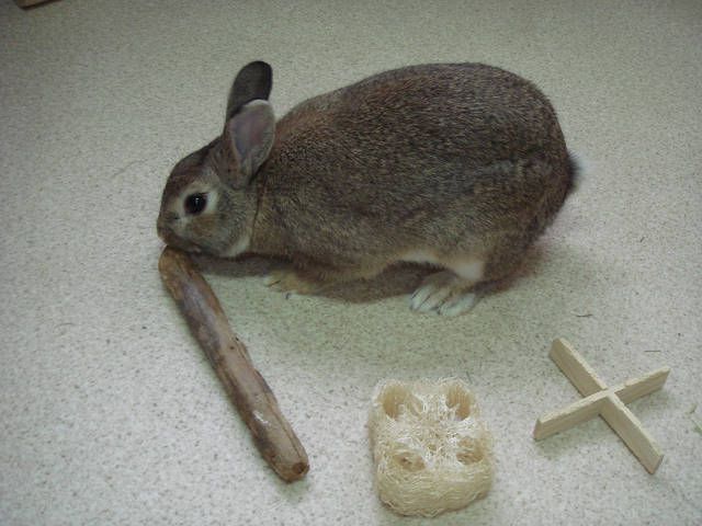 こんにちは（＾ω＾）