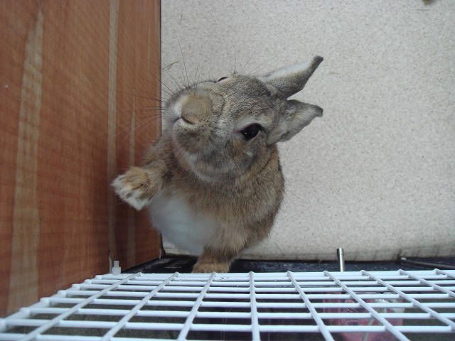 晴れた～!(^^)!