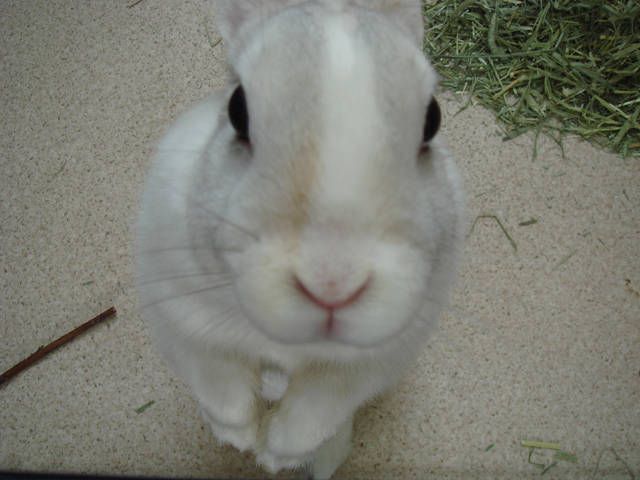 ゆぎ降った～。